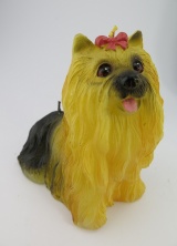 Bild p Stearinljus Yorkshire terrier