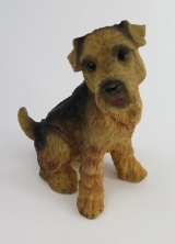 Bild p Airedale Terrier C