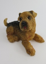 Bild p Airedale Terrier D